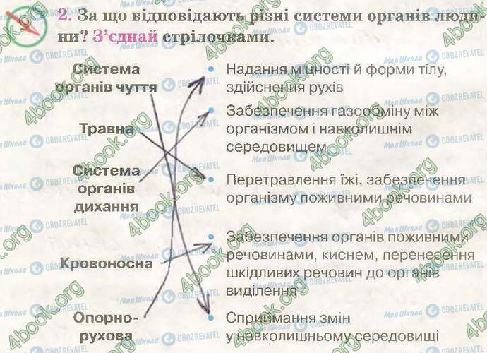 ГДЗ Природознавство 3 клас сторінка Стр48 Впр2